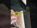 #motivation 🤩shorts😝 ytshorts🤗 cooking trending topics🤗🥰🤗