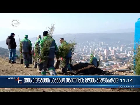 ტყის აღდგენის სამუშაო თბილისის ზღვის მიმდებარედ