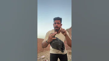 خش يا سكر جوه الكيس 