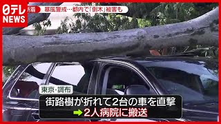 【被害】台風影響で大雨・強風　被害相次ぐ…倒木も