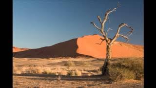 Bimbo - BALADA NABI NUH