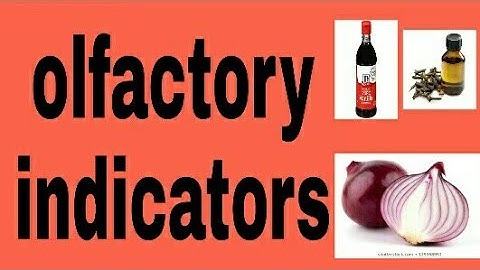 olfactory indicators class 10| olfactory indicators onion experiment|olfactory indicators activity|