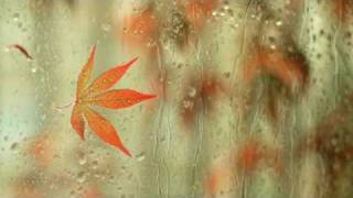 Dino Pehilj - Rain