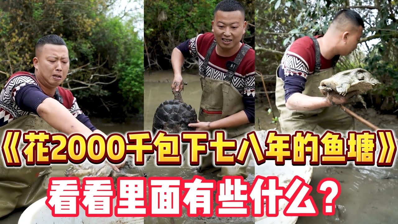 花2000塊包下壹個七八年沒有幹過的魚塘，沒想到裏面竟然#三农 #户外 #大魚 #抓鱼