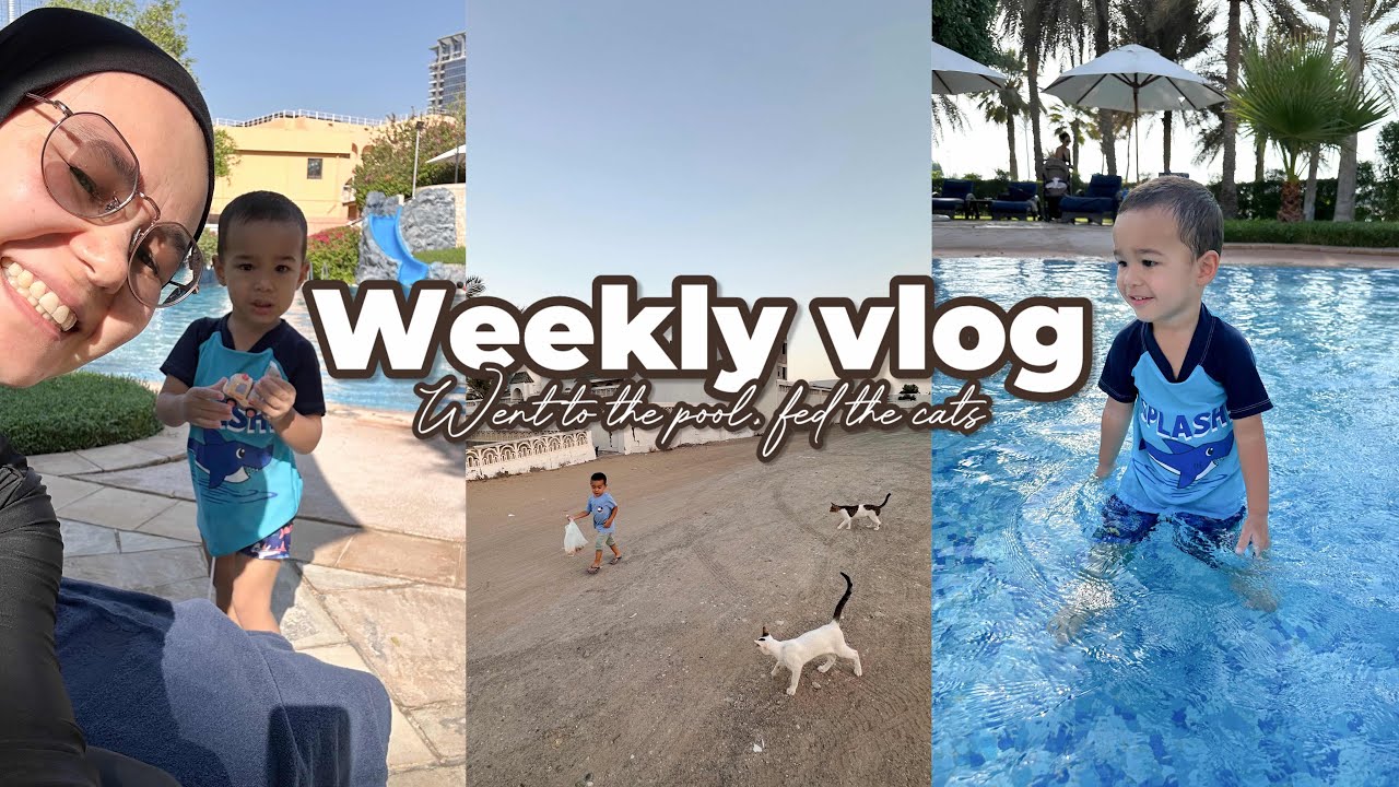 Weekly Vlog Abu Dhabi | Feeding Cats, Apartment Hunt & Sheraton Kids Pool