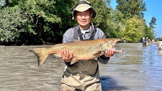 2023 Puyallup River Pink and King Salmon Fishing 8/19/23