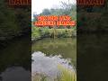 Mancing dikolam orang part 3#mancingliar #microfishing #mancing