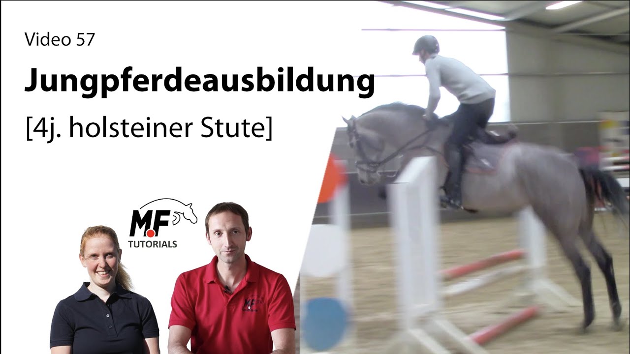 [57] Die Schwierigkeiten bei einfachen Pferden | 