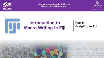 Introduction to Macro Writing in Fiji | Part 5 – Scripting in Fiji