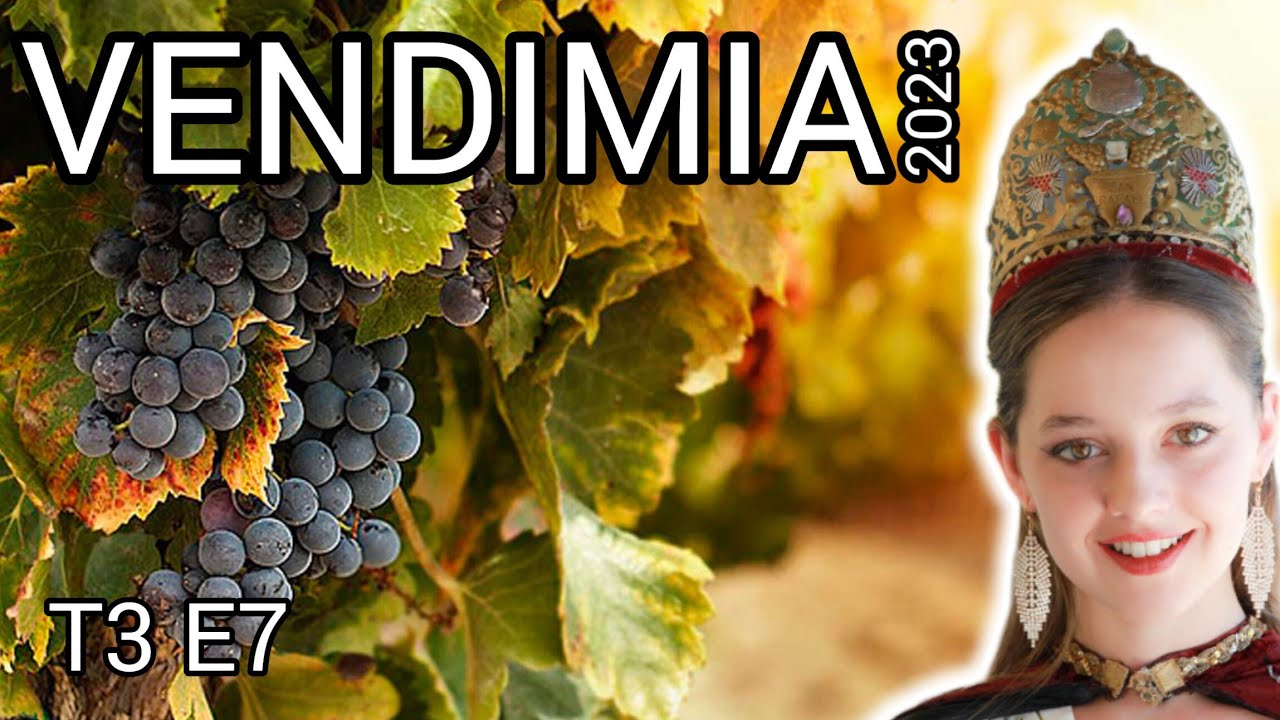 FIESTA DE LA VENDIMIA en un MINICAMPER Mendoza VLOG TURISMO