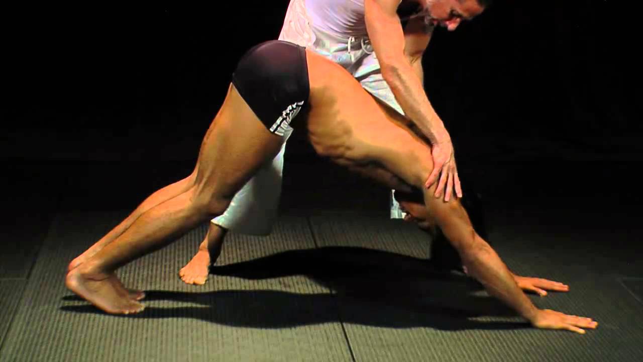 How To Do Down Facing Dog with Cameron Shayne Budokon Yoga