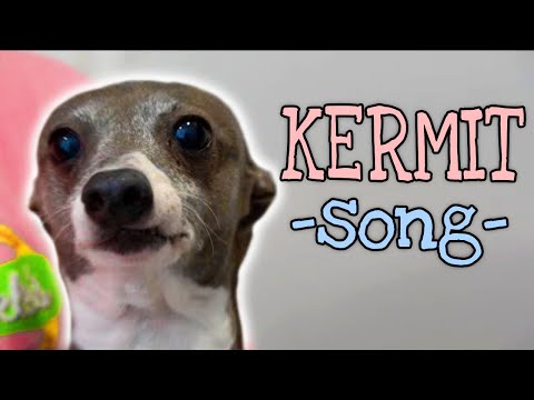 a-song-for-kermit