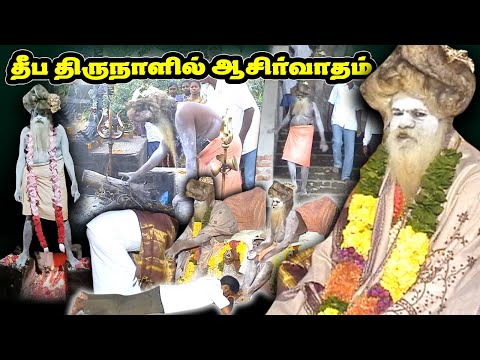 தீப திருநாளில் சித்தரின் ஆசிர்வாதம் I மகாதேவமலை வேலூர்