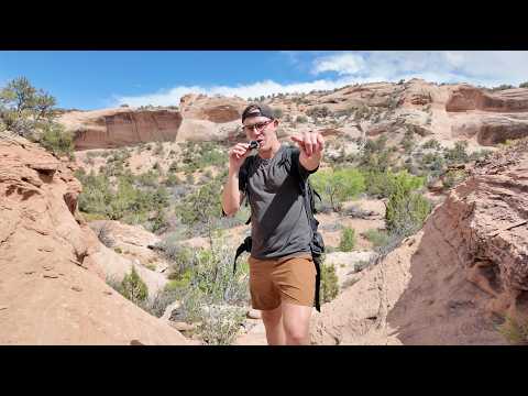 Related Embedded Video Item Thumbnail