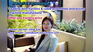 Direct factory Full automatic wire cutting stripping terminal crimping machine with terminal connect