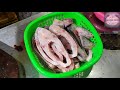 BIG RED POMFRET FRY CUT SLICE || BY EXPERT CUTTER ALAM || AM FISH HOUSE..