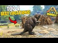 Top 4 Best Locations For Beaver Dams In ARK Mobile 😱| Cementing Paste Farming 🔥| ARK Ultimate Mobile