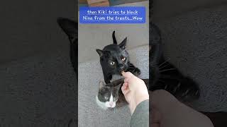 Bit Again By Kiki The Treat Monster