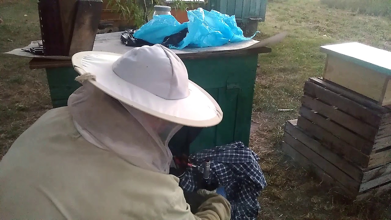 23/2018# Przygotowania do nowego sezonu, podkarmianie na rozczerwienie oraz odymianie na warroze.