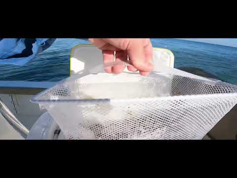 Live Bait Cooler