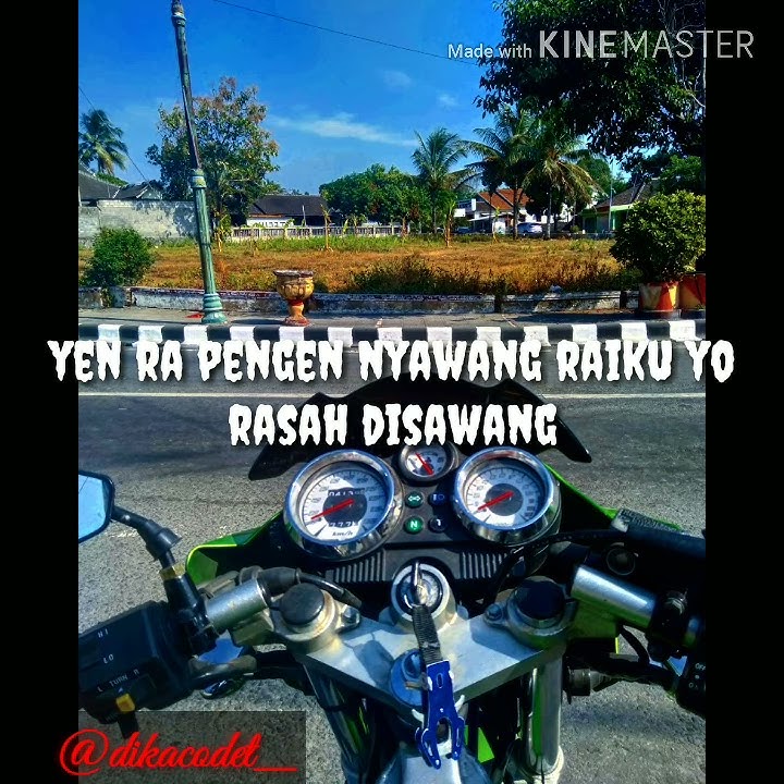 Status wa aku wes males gagas opo wae