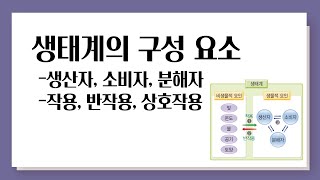 생태계의 구성 요소 l 생산자, 소비자, 분해자, 작용, 반작용, 상호작용