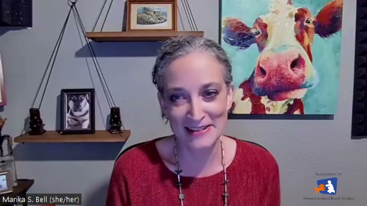 Animal Bond Academy visits The Deal With Animals Podcast