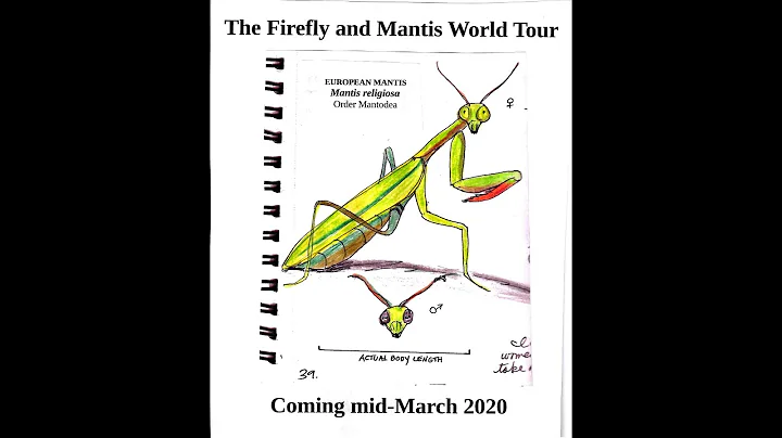 Firefly and Mantis World Tour with Carol Leonard