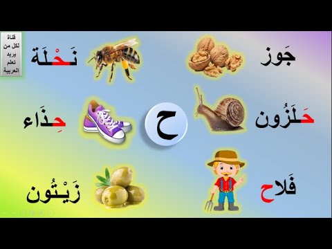 حرف الحاء للأطفال | حرف الحاء مع الحركات | حرف الحاء مع المدود | كلمات بها حرف  ح | الدرس #23 - YouTube