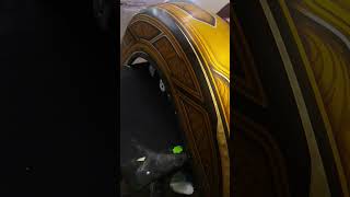 metal flake on fender #harleydavidson #airbrush #shortsvideo #short #short #shortsviral #viral metal flake on fender #harleydavidson #airbrush #shortsvideo #short #short #shortsviral #viral