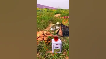 ياهل الهوى قلبي له ايام ملتاع 