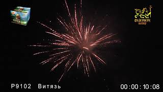 Р 9102 ВИТЯЗЬ 1,2' х 49