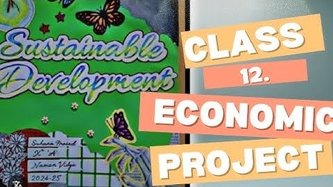Class 12 environment sustainable development chapter project file/Indian economy