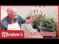 Mariano's Gardening Clips | Mariano's Cooking