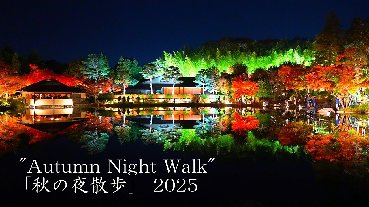 «Осенняя ночная прогулка» в Мемориальном парке Сёва — самая фантастическая в Японии!