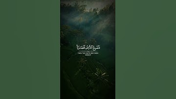 سورة الحج | ألم تر أن الله أنزل من السماء ماء فتصبح الأرض مخضرة 🤍🤍🫀☘️🌿🌱القارئ #عبدالله_الخلف
