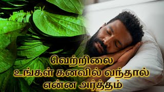 வறறல உஙகள கனவல வநதல எனன அரததம Betel In Your Dream Meaning D J Tamil