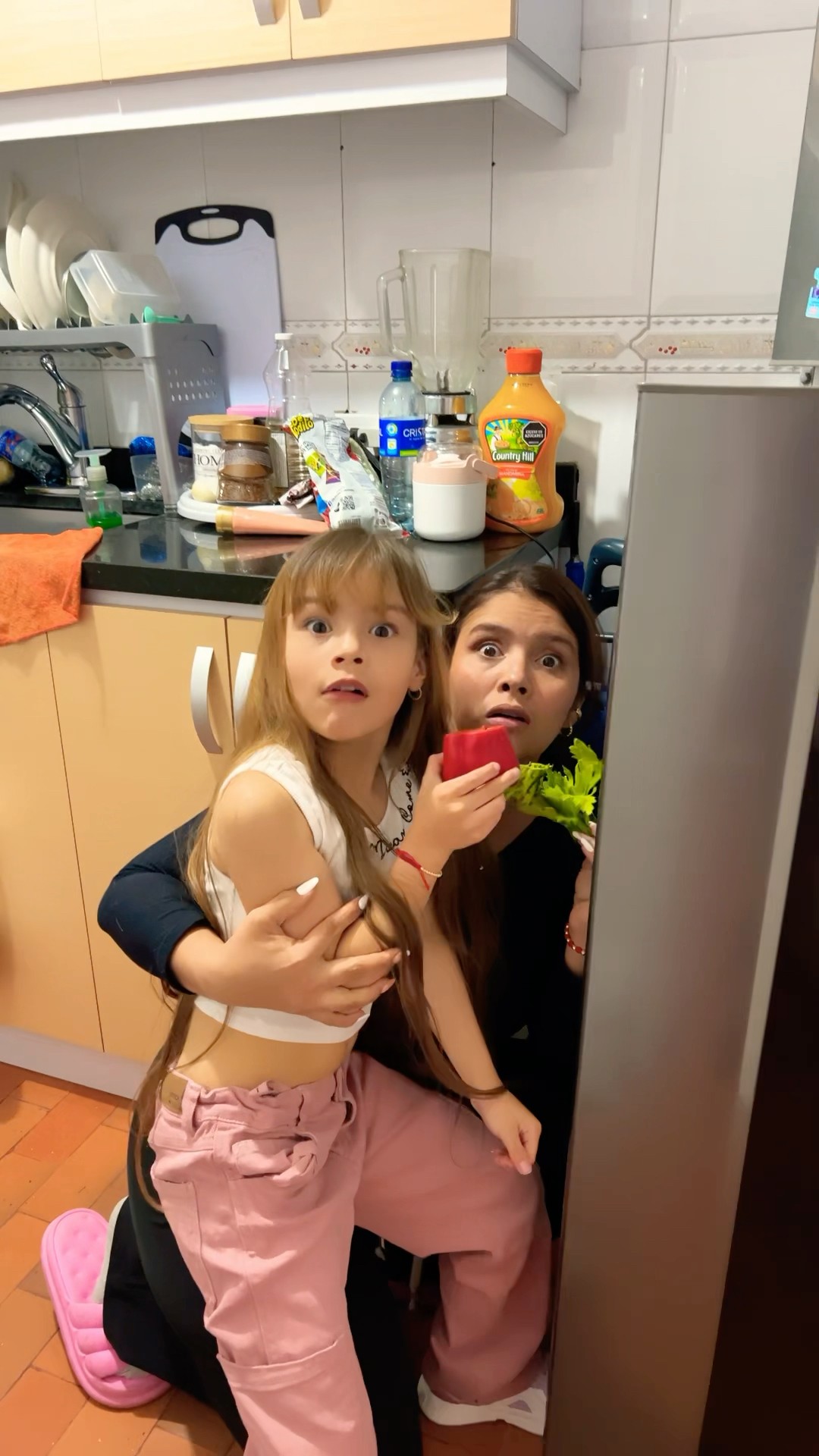 EN LA NEVERA #humor #cosasdefamilia #comedia #shortviral