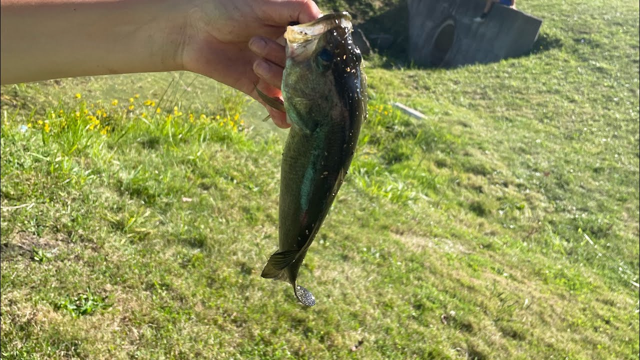 (Bass fishing 2)