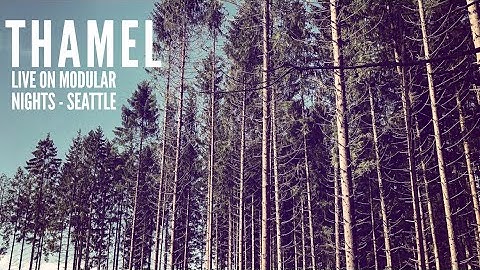 MODULAR SEATTLE LIVE SET - Ambient Modular Music - Make Noise Shared System, Novation Peak #eurorack