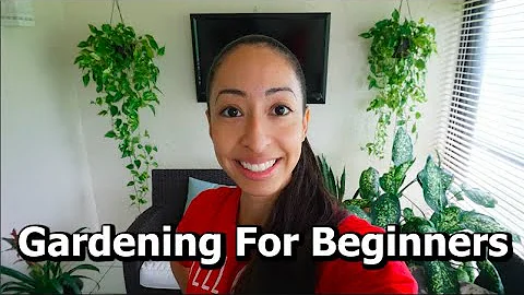 Planting Herbs And Vegetables | Repotting Plants | Gardening For Beginners | Indoor Gardening Ideas