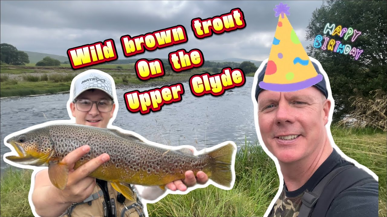 Fly fishing on the upper Clyde (PB Brown trout)