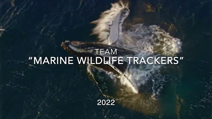 Blue Cloud video pitch- "Wildlife Tracker for Ocea...