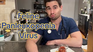 Feline Panleukopenia Virus