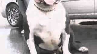 video-new.wmv