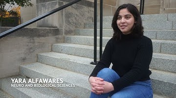 Co-ops: International Student Experiences