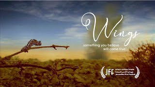 Wings | Award-Winning Stop Motion Animation by Sasha Bush, 2009. Jerusalem film Festival 1st place