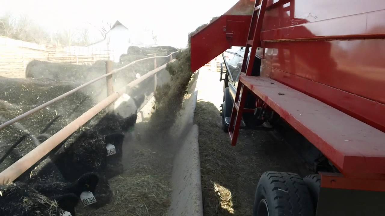 kelly ryan feed wagon Goddard Equipment YouTube