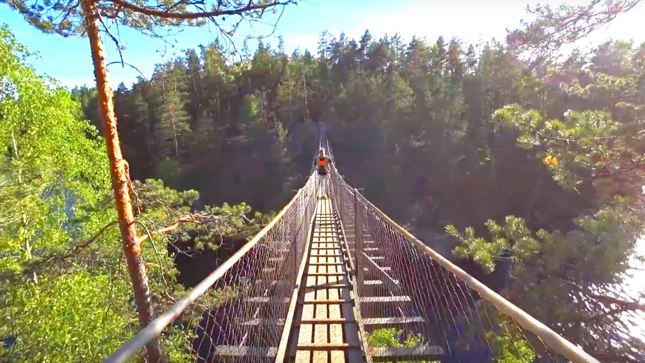 В ФИНЛЯНДИИ ПРИРОДА ДЛЯ ВСЕХ! Национальный парк Реповеси