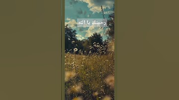 القرآن الكريم/ تلاوة خاشعة #المصحف #القرآن_الكريم #quran #راحة_نفسية